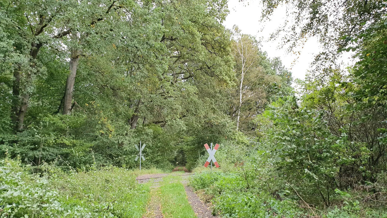 Wanderweg: von Krümmel nach Rückeroth und zurück - Bahnübergang im Wald