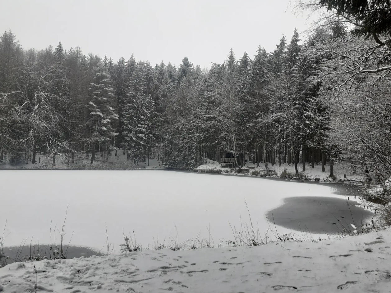 Wanderweg: Krümmeler Runde - verschneiter Weiher in der Nähe von Krümmel